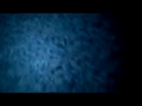 Чеченский секс Мадина горячий эксклюзивный контент для вас