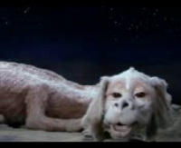 первый секс домашнее видео