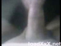 Сногсшибательные кавказки раздеваются перед камерой