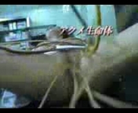 Индивидуалка кавказка устроила жаркий секс-марафон