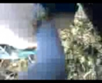 Кавказские форсед жаркий эксклюзивный порно контент