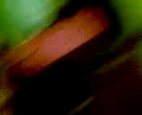 Искусство самого красивого кавказского секса в действии