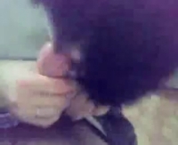 Русская машина, таджичка и горячий минет